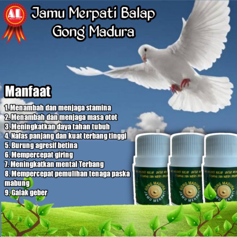 Jual Jamu Merpati Balap (Gong Madura) | Shopee Indonesia