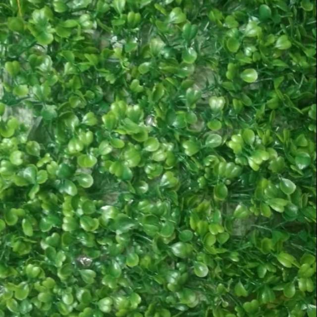 Paling Populer 21+ Gambar Daun Di Tembok Richa Gambar