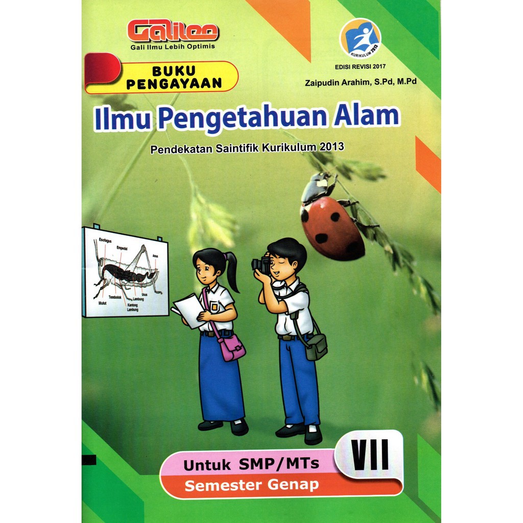Kunci Jawaban Buku Matematika Kelas 7 Kurikulum 2013 Edisi