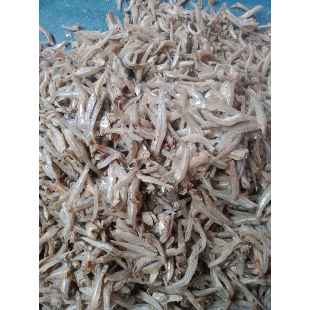 Ikan Teri Kacang/Ikan Teri Jengki [500g] Shopee Indonesia