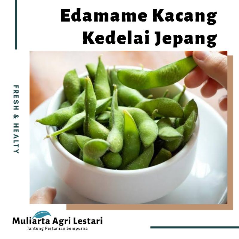 Jual Kacang edamame 1 kg super berkualitas Shopee Indonesia