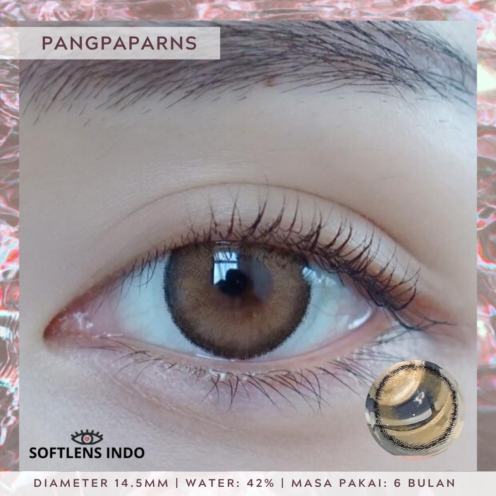 Jual Softlens Sweety Plus Limited Edition Pangpaparns Hazel Brown/ Coklat | Shopee Indonesia