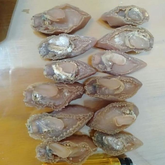 Jual Kerang Abalon Kering Shopee Indonesia