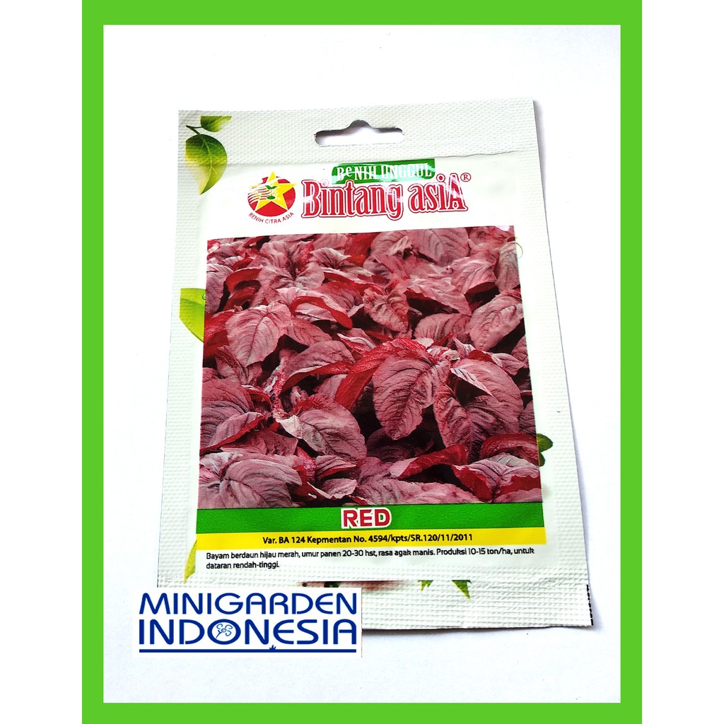Pack 4000 Benih Bayam Merah Red Bintang Asia Bibit Tanaman Sayuran