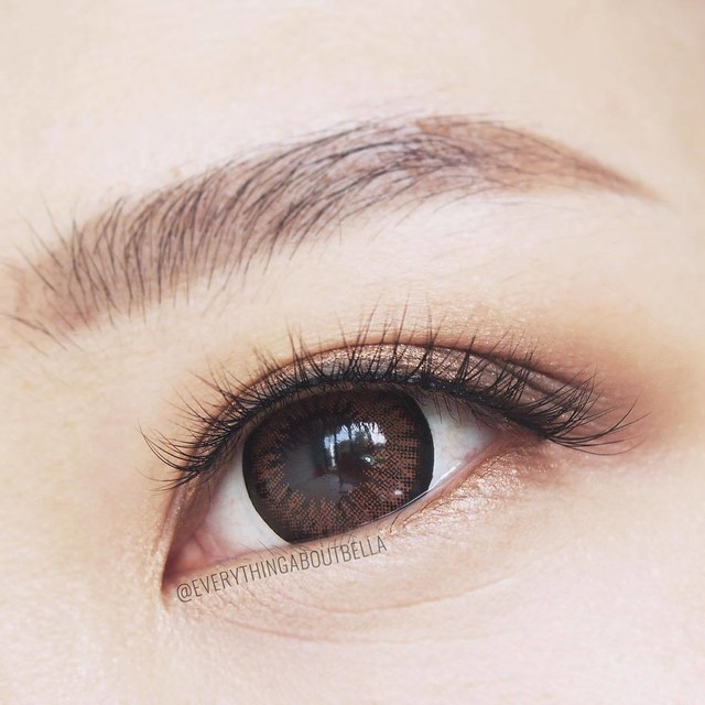 Jual Eos Almond | Softlens Minus Softlen Soflen Soft Lens Lensa Kontak Warna Mata | Shopee Indonesia