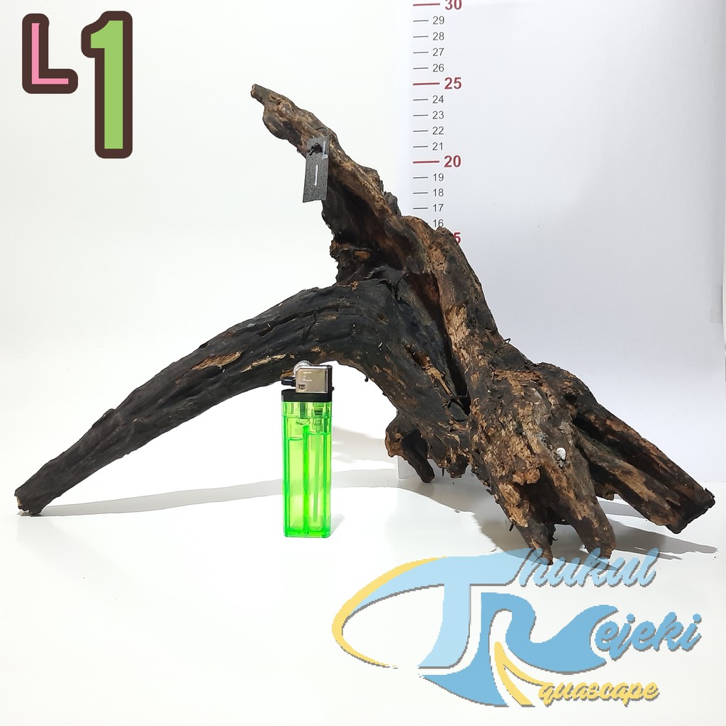 Kayu Rentek Aquascape dan Reptil Ukuran L Rasamala Jati Tenggelam | Shopee  Indonesia