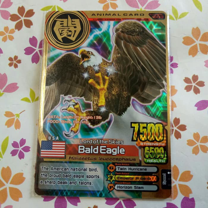 Jual animal kaiser gold bald eagle versi 2 Shopee Indonesia