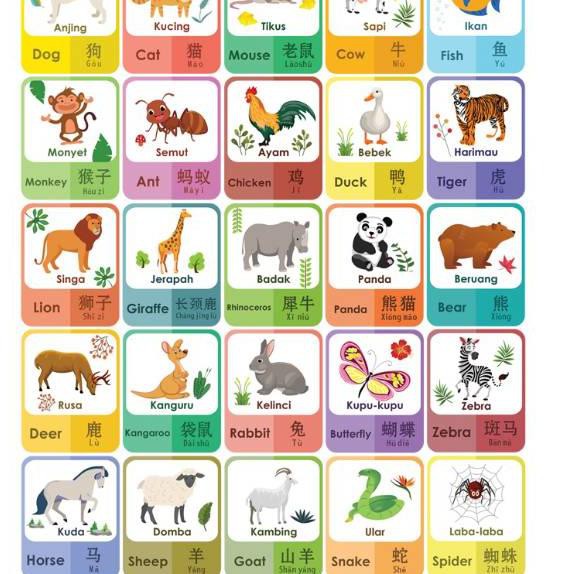 Banyak Dipakai..Flashcard pengenalan nama hewan 3 bahasa / kartu pintar  anak / kartu belajar inggris | Shopee Indonesia