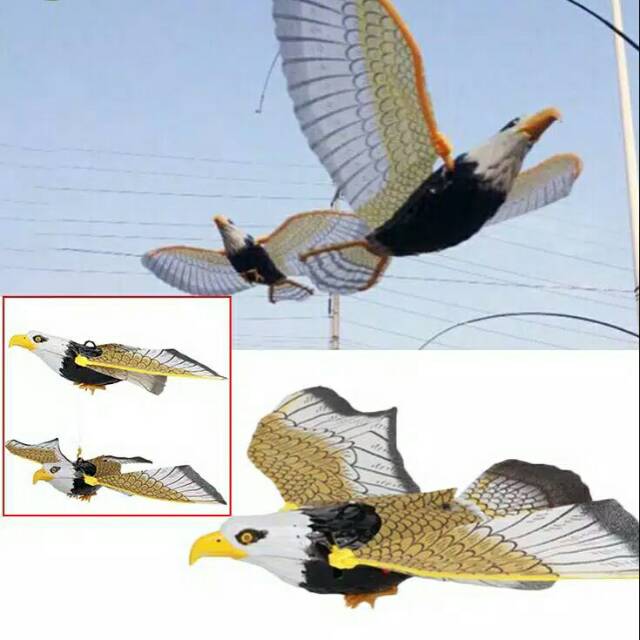 Jual Mainan Burung Elang Terbang Berputar Lucu / Mainan Burung Elang Terbang Indonesia|Shopee Indonesia 640_X_640_jpg