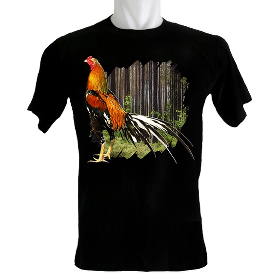 Jual Ayam Bangkok Wiring Kuning Terlengkap & Harga Terbaru November