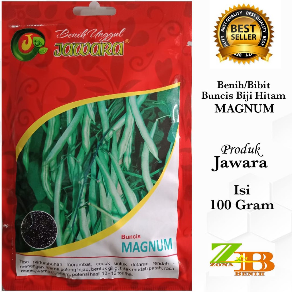 [100 Gram] Benih Buncis Biji Hitam Unggul MAGNUM Bibit Buncis / Biji