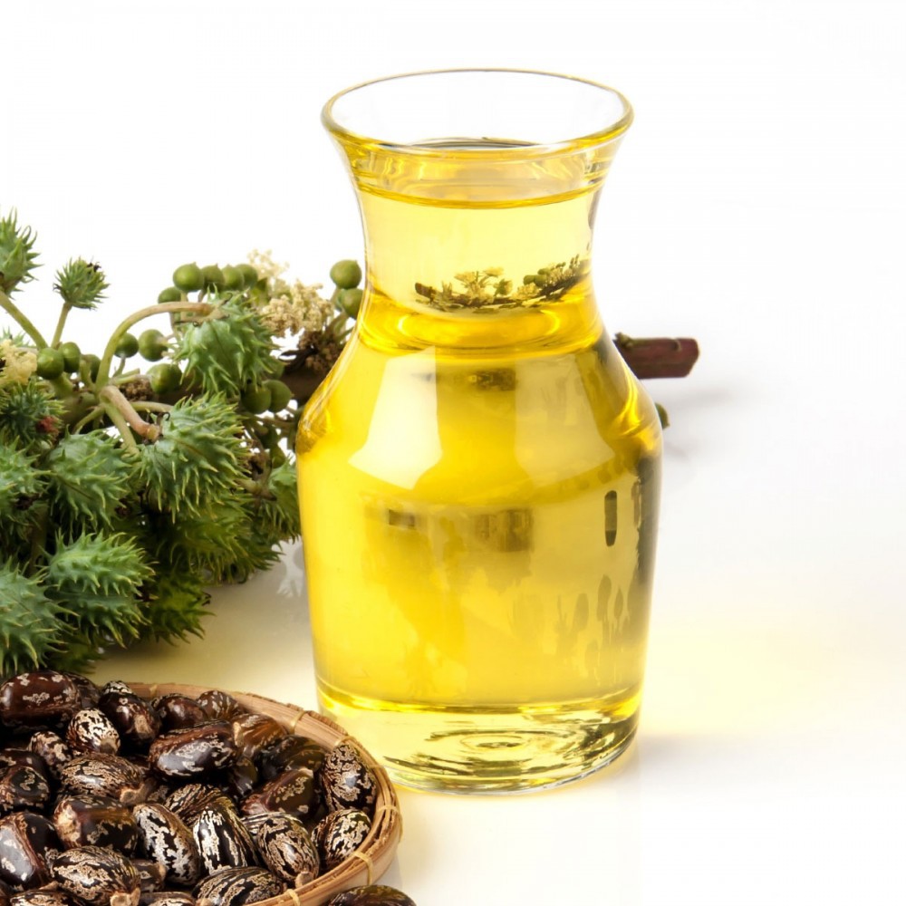 25+ Kegunaan Minyak Jarak, Konsep Terkini!