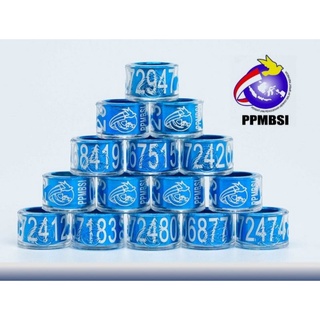 Jual Ring Merpati Balap Ppmbsi 2023 Dan Ring Jatim Ori | Shopee Indonesia