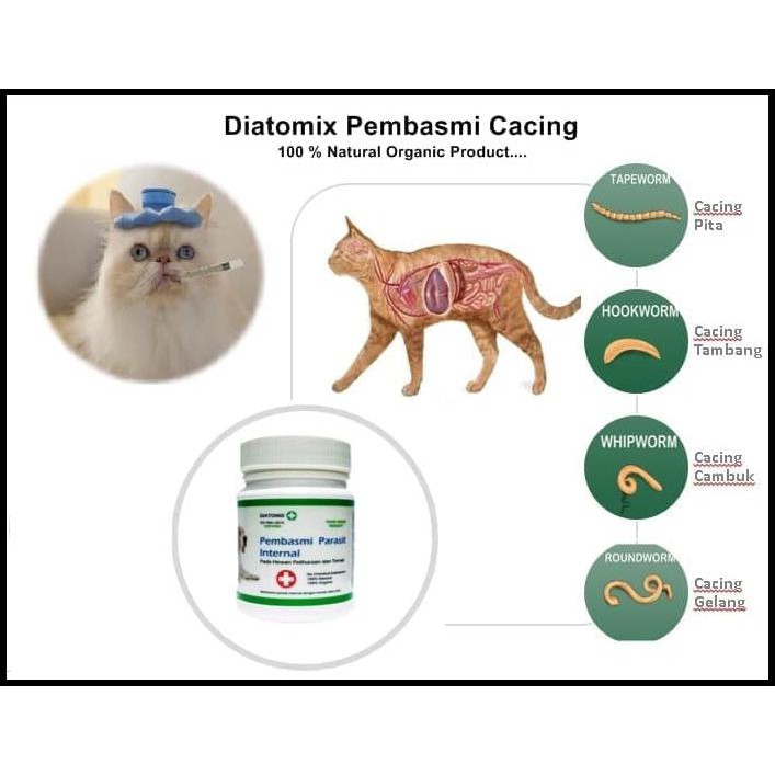 Promo!!) Diatomix (Obat Parasit Internal/ Cacing Pada Kucing, Anjing Food  Garde | Shopee Indonesia