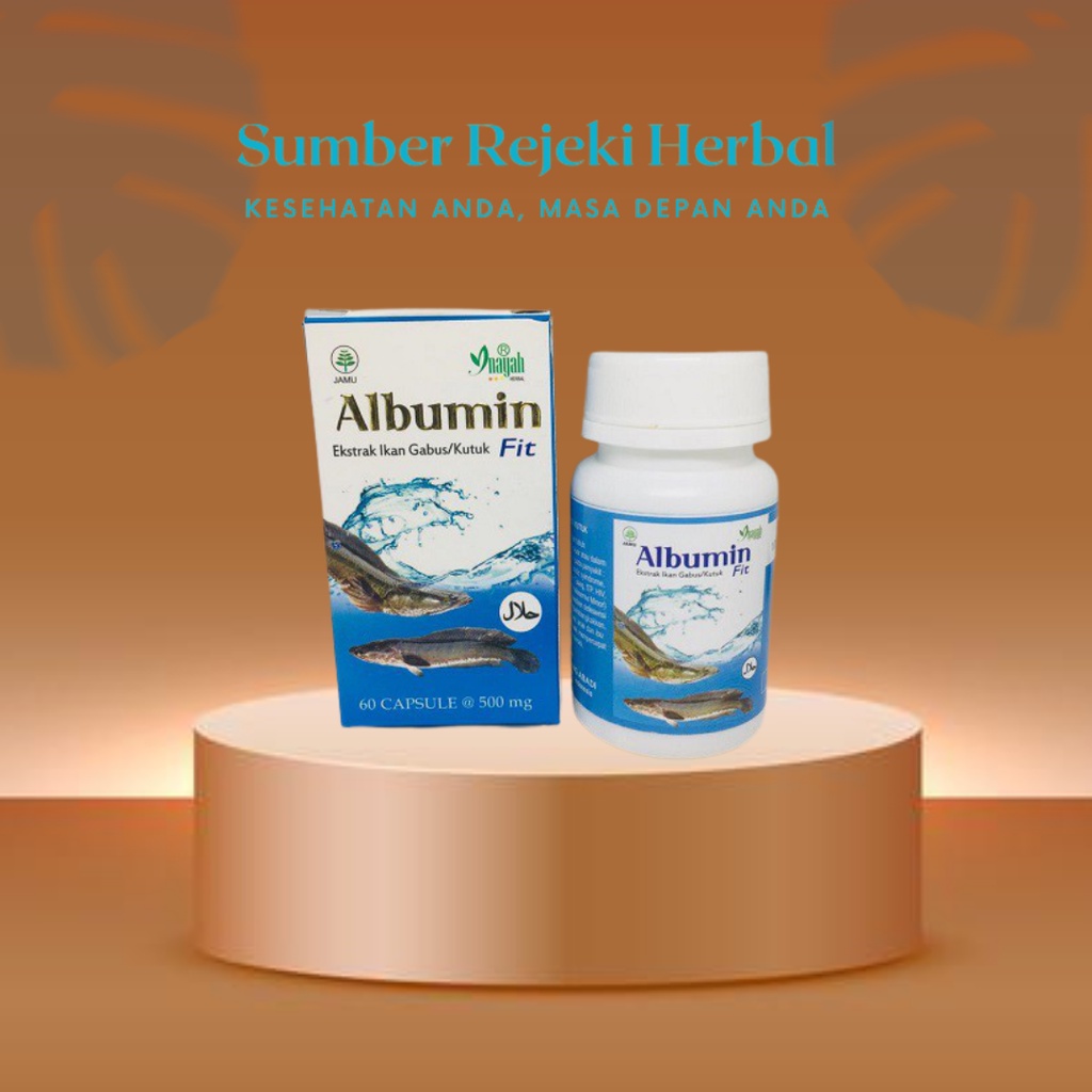 Albumin Fit Kapsu Ekstrak Ikan Gabus Pro Albumin Obat Pasca Operasi 1  bottol x 60 kapsul | Shopee Indonesia