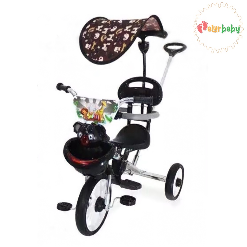 Sepeda Roda Tiga BMX Safari Dorongan Kanopi Jagaan PMB 722 Tricycle