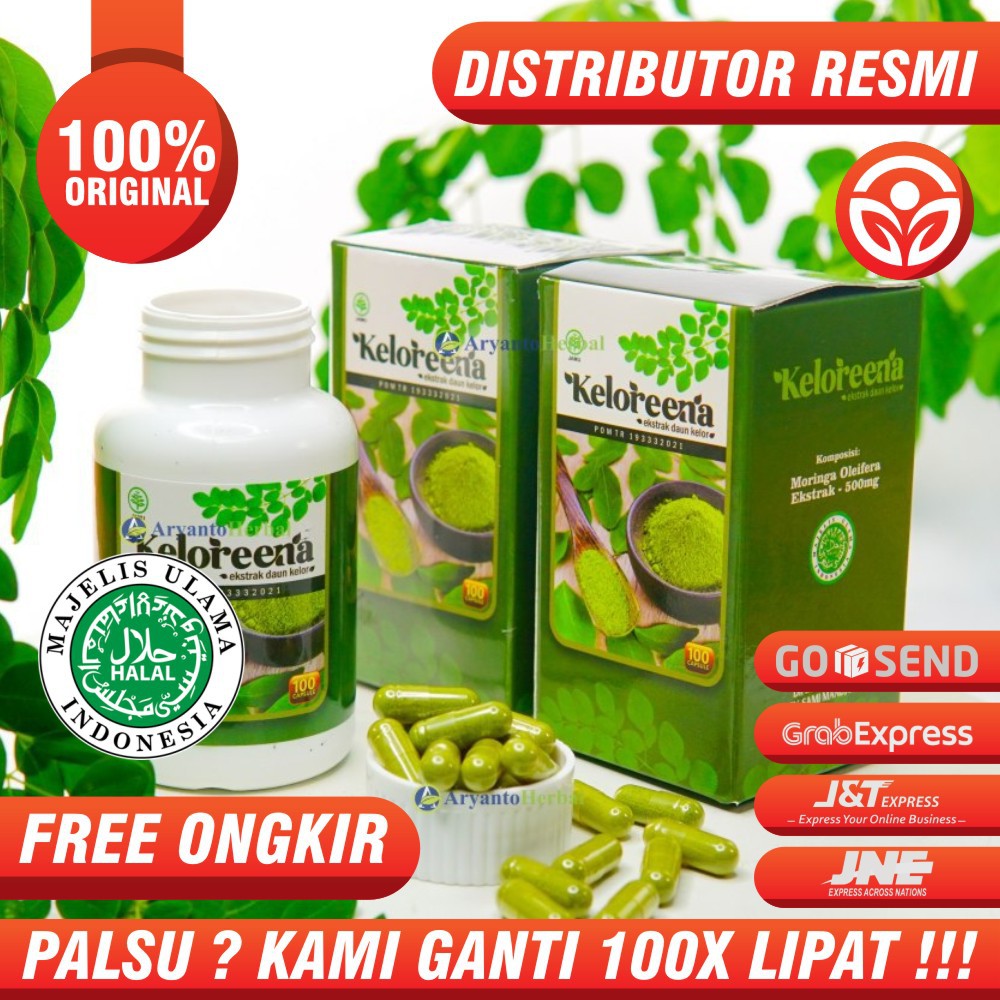 Keloreena Kapsul 100 Asli Ekstrak Daun Kelor Obat Herbal Alami