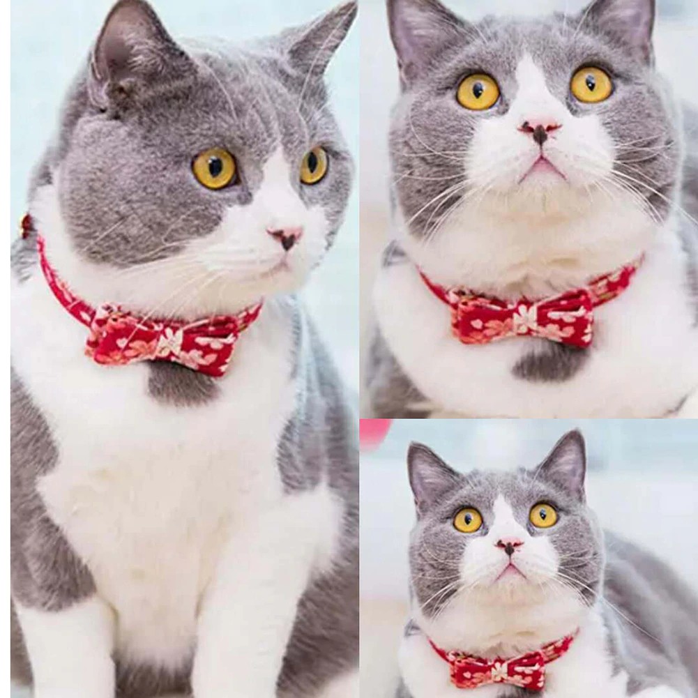 Kalung Leher Kucing Anjing Lucu Murah Pet Collar Harness Dog Cat Cute Lovely Bowknot PU Leather