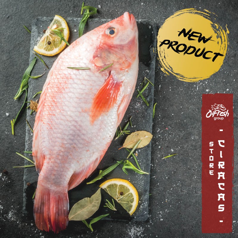 Ikan Nila Merah / Tilapia PREMIUM LOKAL Segar dan Bergaransi / Pack