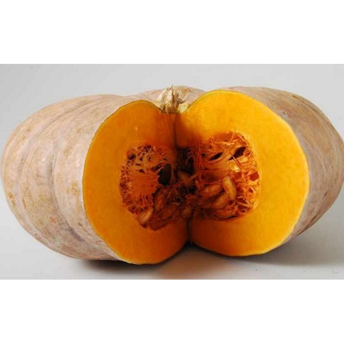 Labu Kuning | Waluh | 1.5-2 Kg [ Harga Per PCS ] | Shopee Indonesia