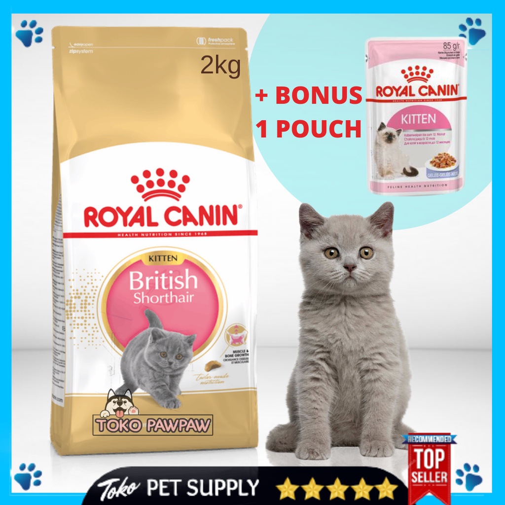 Jual Royal Canin British Shorthair Kitten 2Kg Bonus Makanan Anak Kucing Catfood Cat Food | Shopee Indonesia
