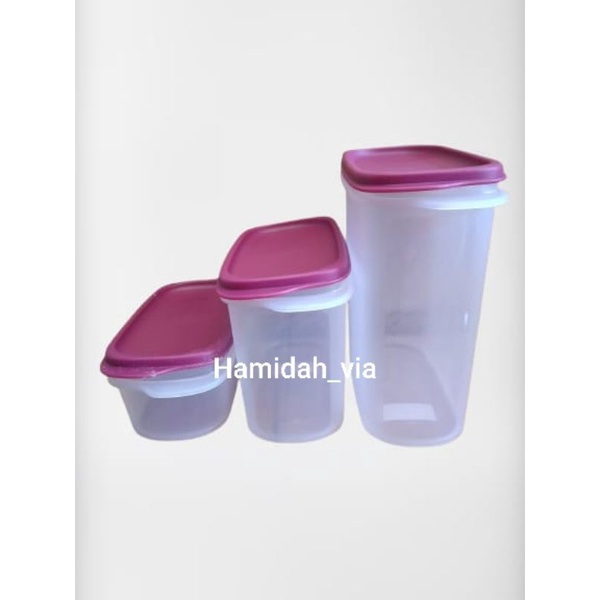 Jual Wadah Susu Smart Saver Oval 1, 2 dan 3 Tupperware (1 pcs
