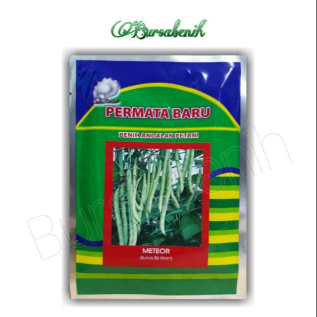 Benih Bibit Buncis METEOR 50gr Shopee Indonesia