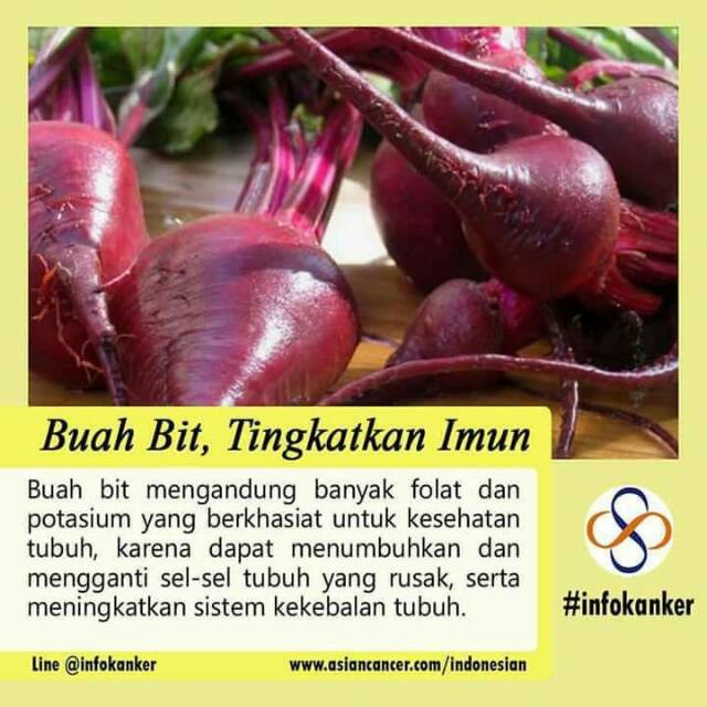 Cara Membuat Jus Buah Bit Untuk Anemia Berbagai Peruntukan