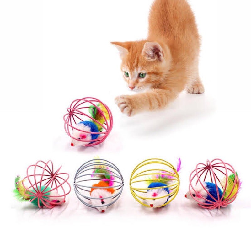 Jual Mainan Kucing Bola Jeruji Bola Isi Tikus Mainan Anak Kucing | Shopee Indonesia