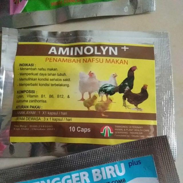 Cara Mengatasi Ayam Kurang Nafsu Makan