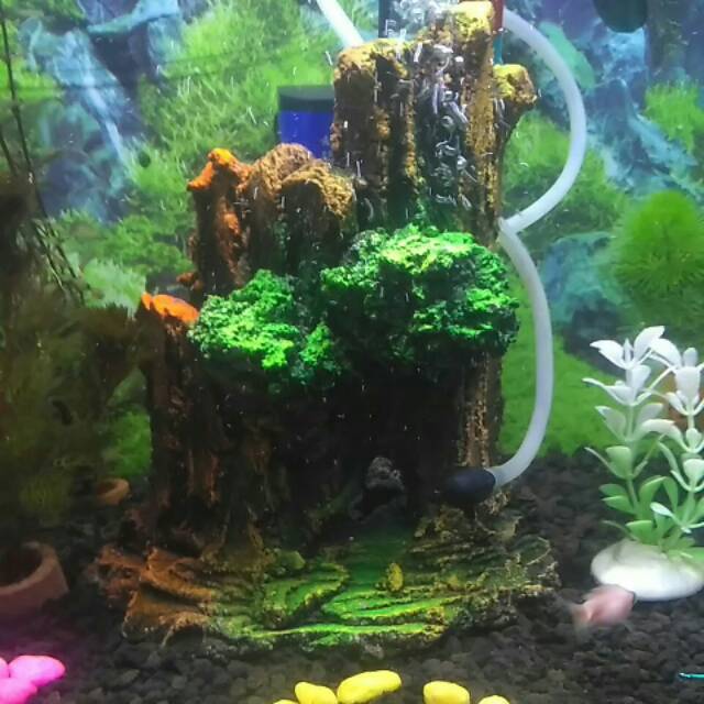 Download 91+ Background Aquarium Putih Polos HD Paling