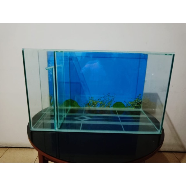 Gambar Filter Aquarium Rumah Idaman