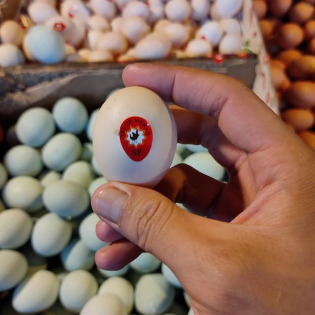 TELUR AYAM KAMPUNG MERAH OMEGA 3 FRESH 1 PACK ISI 30 BUTIR