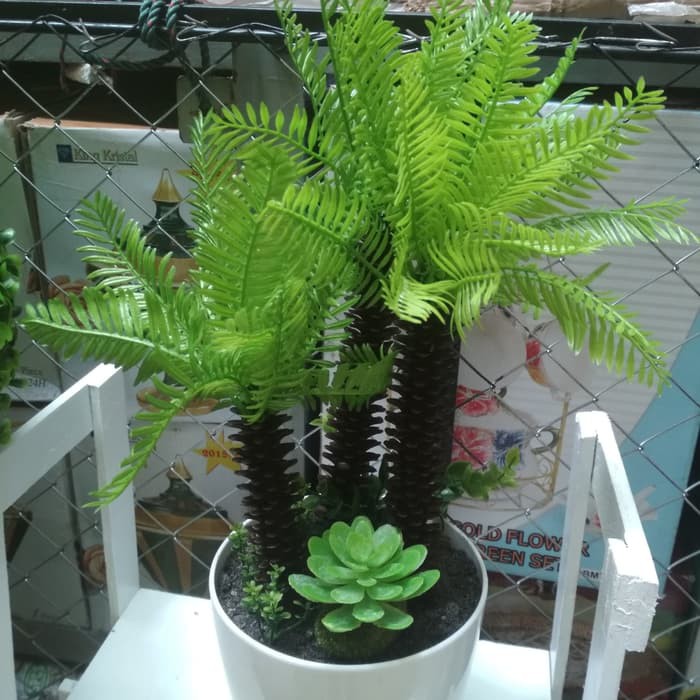 Jual Hiasan Bunga Bonsai Sawit Indonesia|Shopee Indonesia