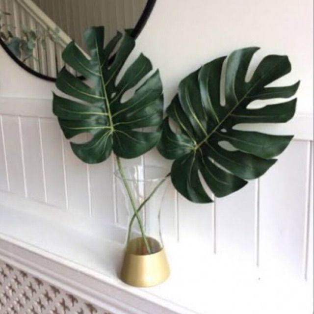 Jual DAUN MONSTERA pelengkap aksesoris hijang atau segi Indonesia