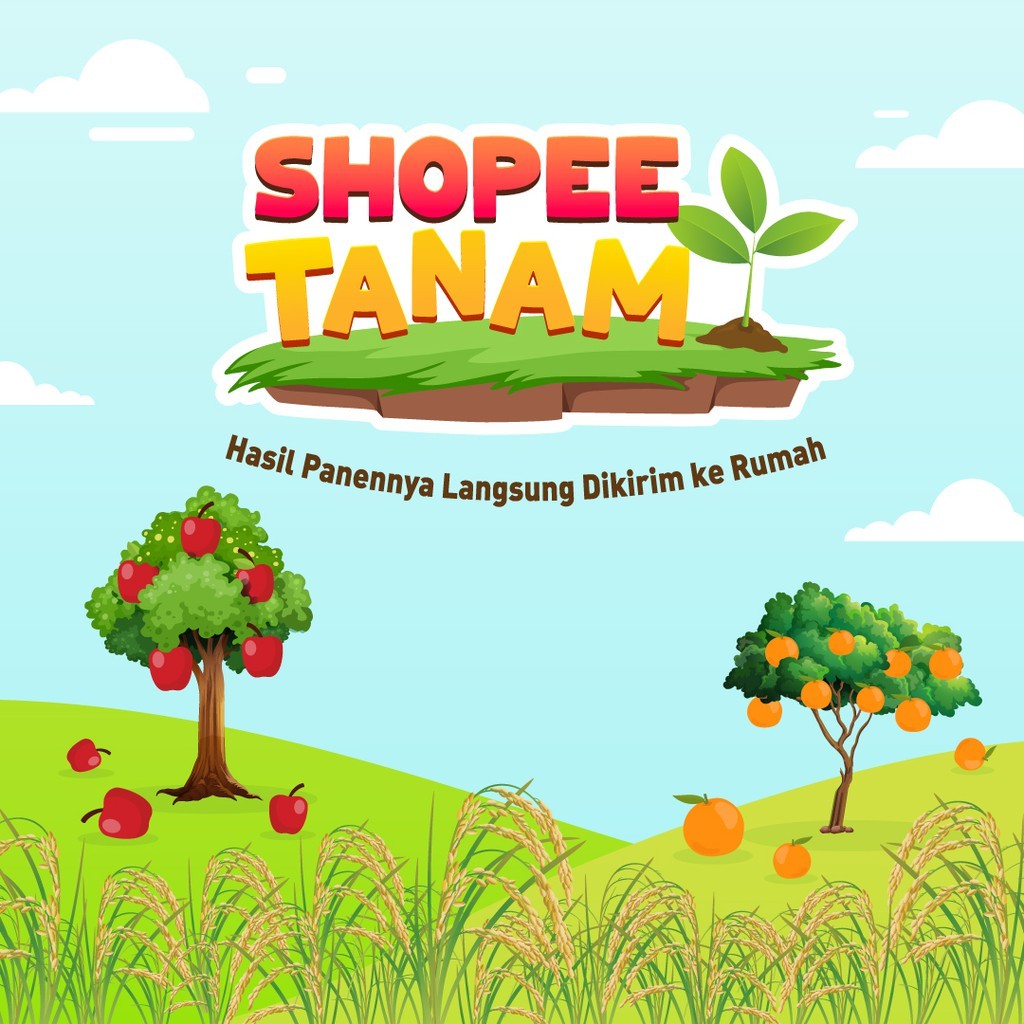 Blissfull Shopee Tanam Coklat