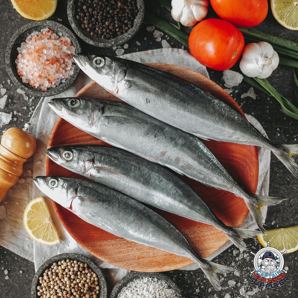 Ikan Layang Frozen Shopee Indonesia