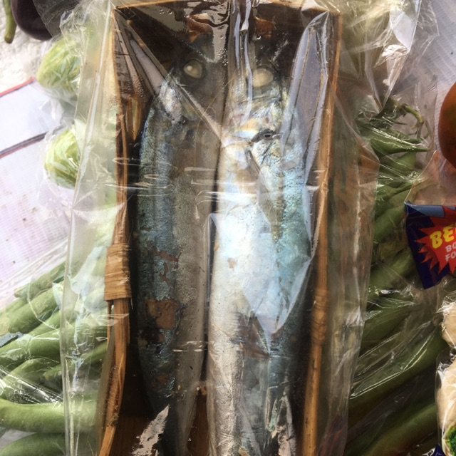 Ikan cue keranjang [segar] / cue pindang / cue salem Shopee Indonesia