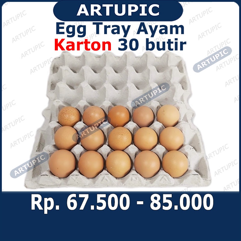 Egg Tray Ayam KARTON Kertas kardus rak Tempat Telur Telor ayam bebek 70  lembar | Shopee Indonesia