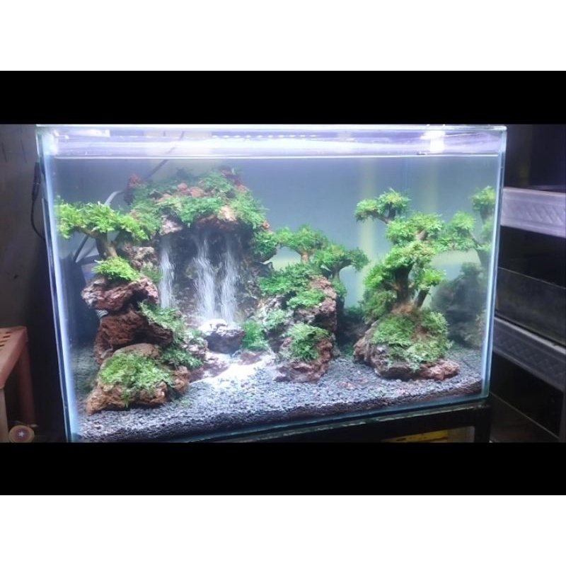 Jual Aquascape Tema Air Terjun Bonsai Full Set 60 Cm Tinggal Colok  Indonesia|Shopee Indonesia