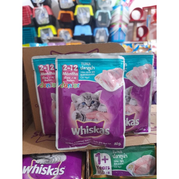 Jual 1Box(isi 24pcs)Whiskas Sachet Junior Rasa Tuna makanan Basah