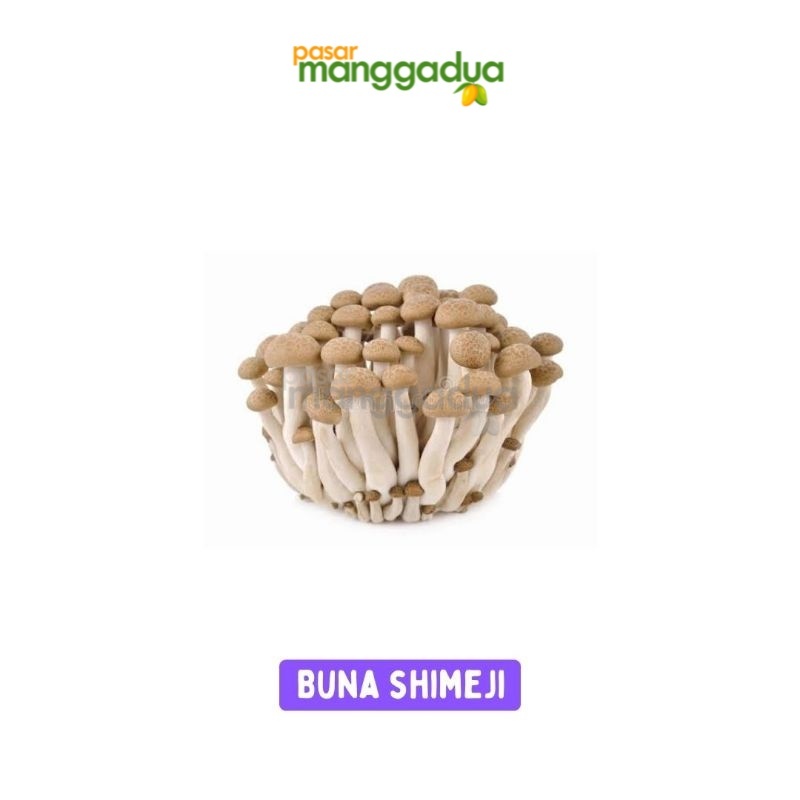 Jual PROMO !!! Jamur Shimeji Coklat / Buna Shimeji Mushroom Per Pack