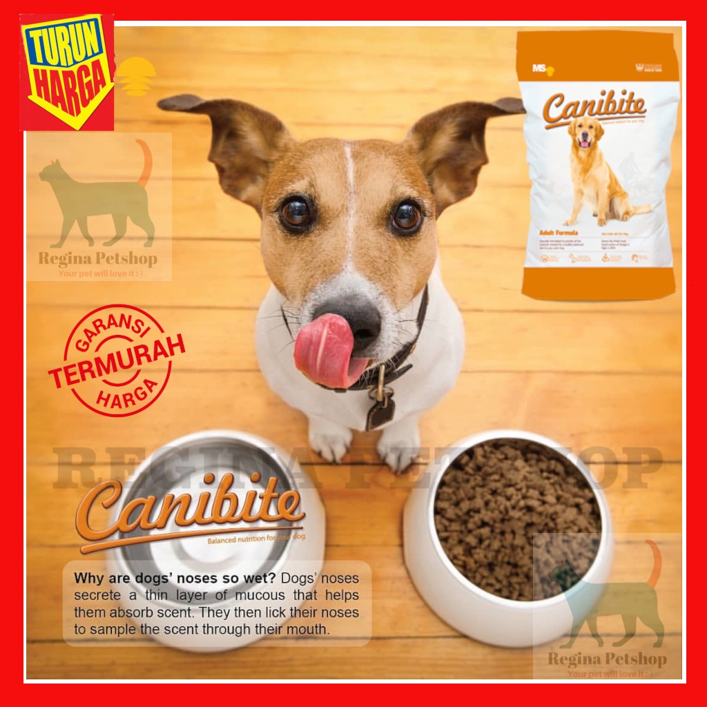 Dog Food Canibite Makanan Anjing Premium Repack 1 KG Rasa Lamb Shopee