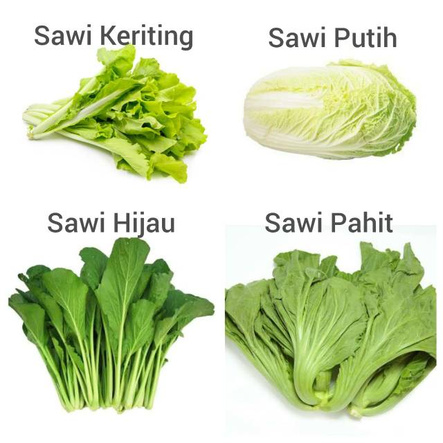 Sayur segar Sawi Putih / Hijau / Keriting / Pahit Shopee Indonesia
