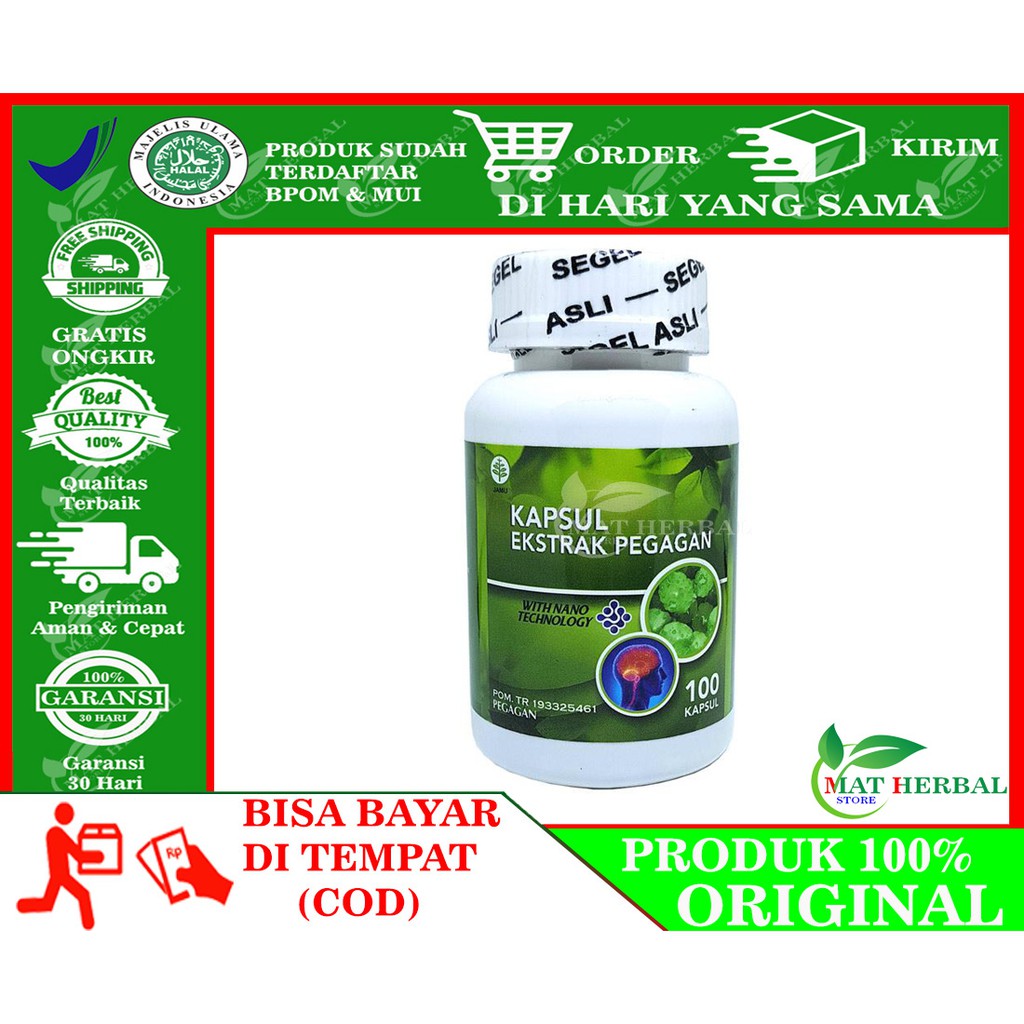 Obat Herbal Penambah Daya Ingat, Obat Penambah Konsentrasi. Obat Pelupa