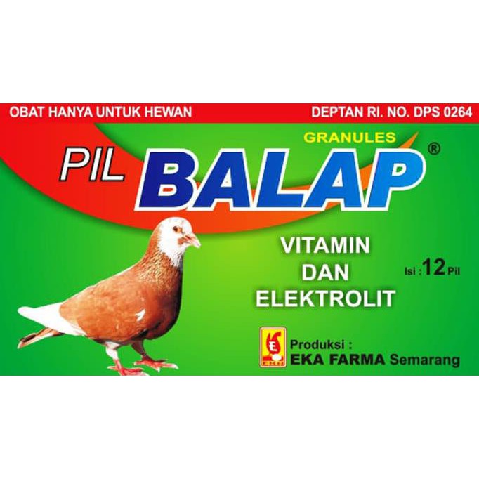 Jual Open Ds Pil Merpati Balap | Shopee Indonesia