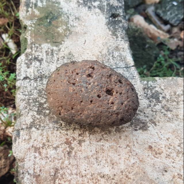 Batu Penahan Berak Shopee Indonesia