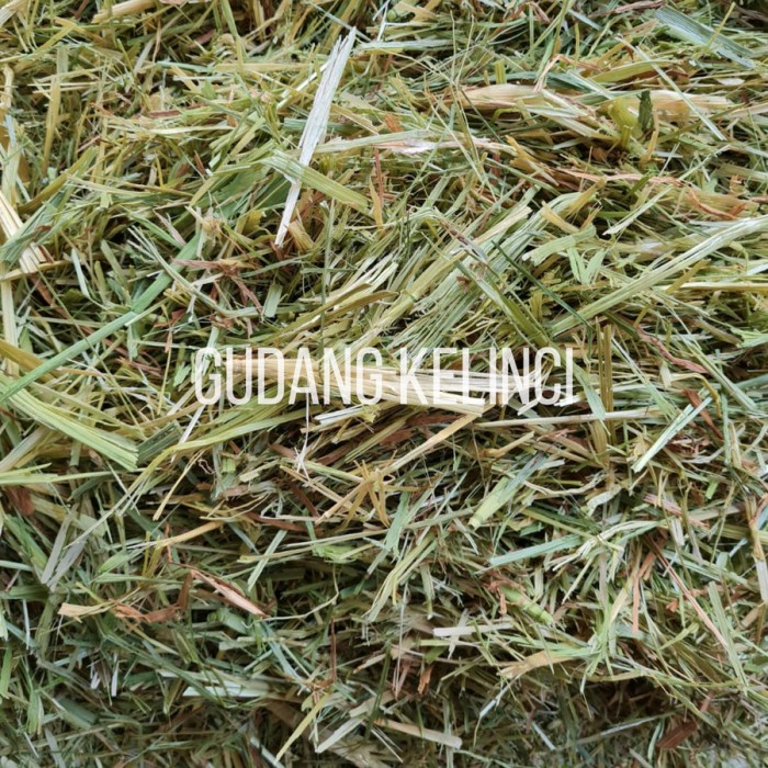 Jual DAILY OATEN HAY NO TIMOTHY MAKANAN KELINCI BEST CHOICE OATEN HAY
