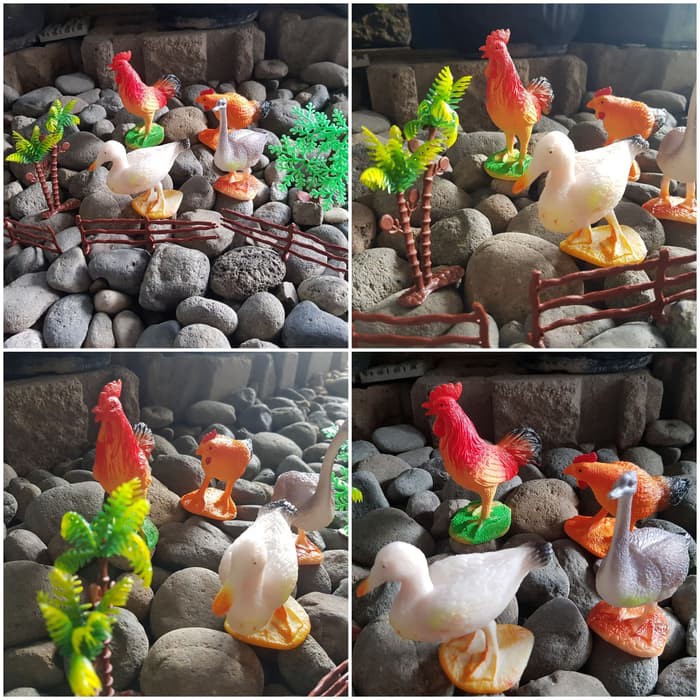 Miniatur Mainan Hewan Unggas - Replika Ayam Bebek Angsa - Hewan Unggas |  Shopee Indonesia