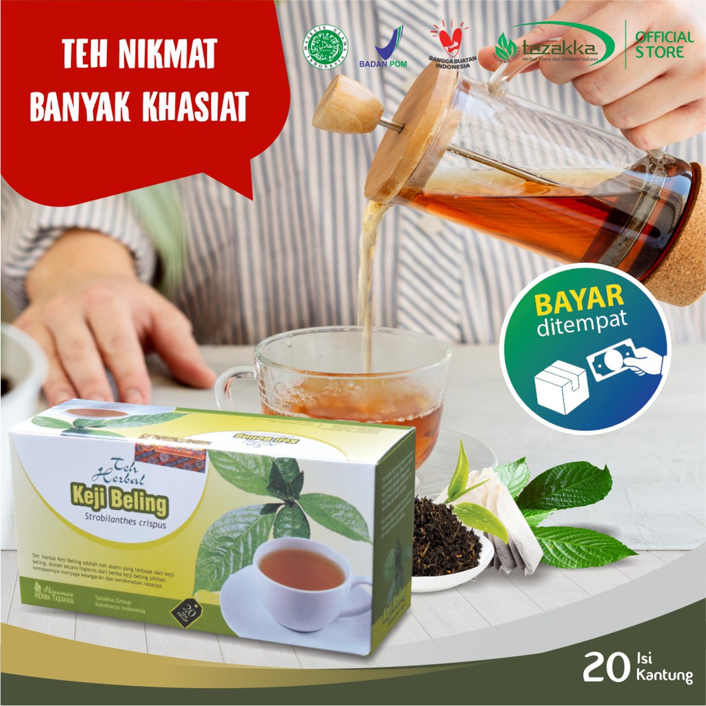 Teh Celup Daun Keji Beling Minuman Kesehatan Batu Ginjal Infeksi